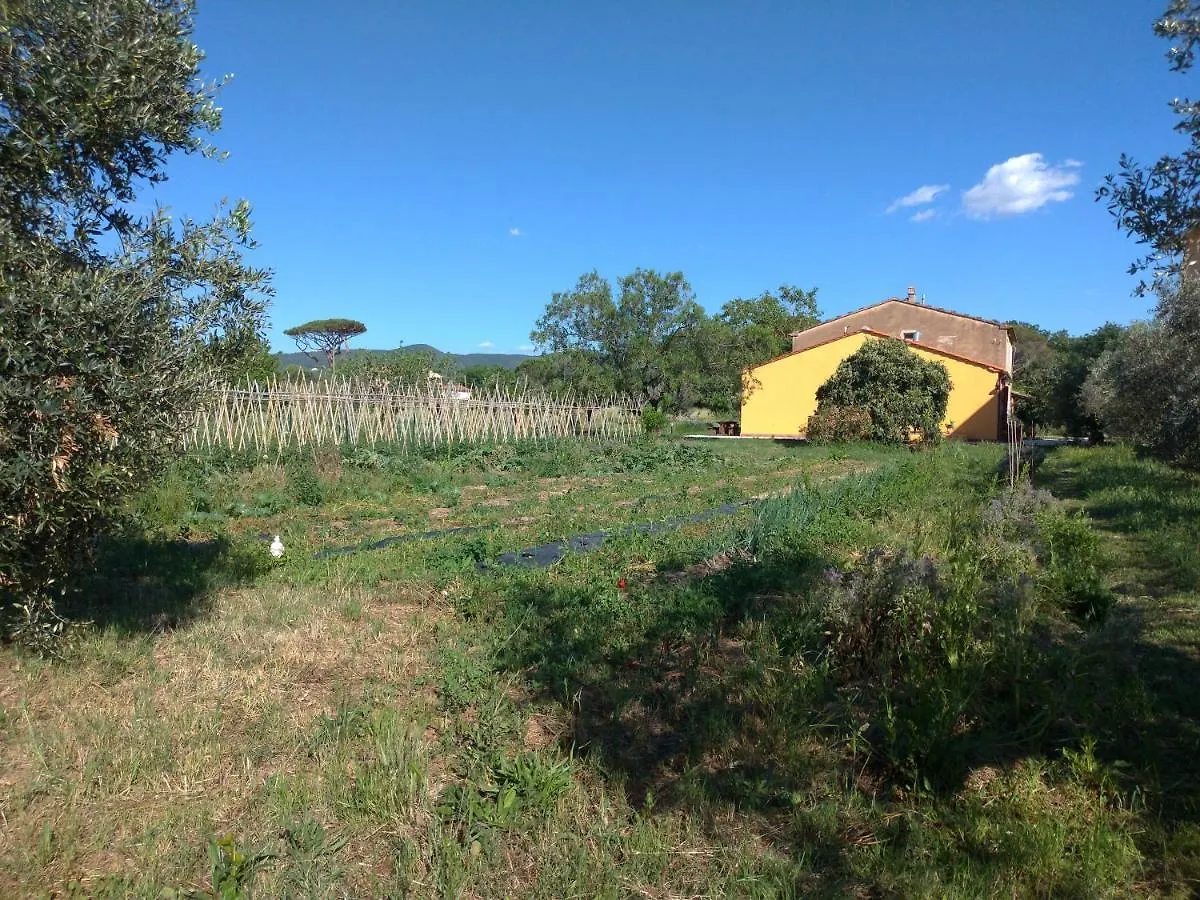 Casa Adele Apartment Castagneto Carducci 0*,  Italy