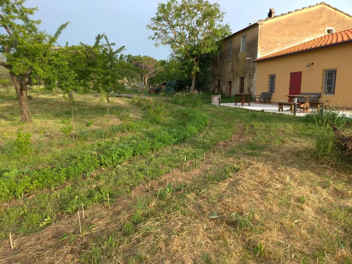 Casa Adele Apartment Castagneto Carducci