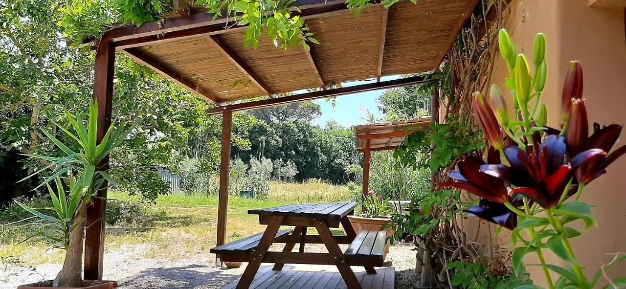 Casa Adele Apartment Castagneto Carducci Italy